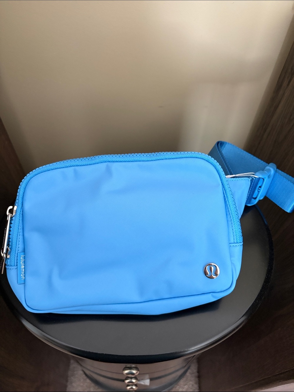 NWT everywhere belt bag 2L